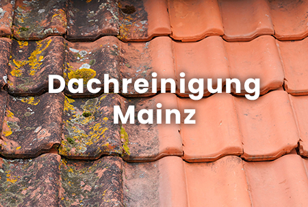 Vorher-nachher-Vergleich bei der Dachreinigung-1